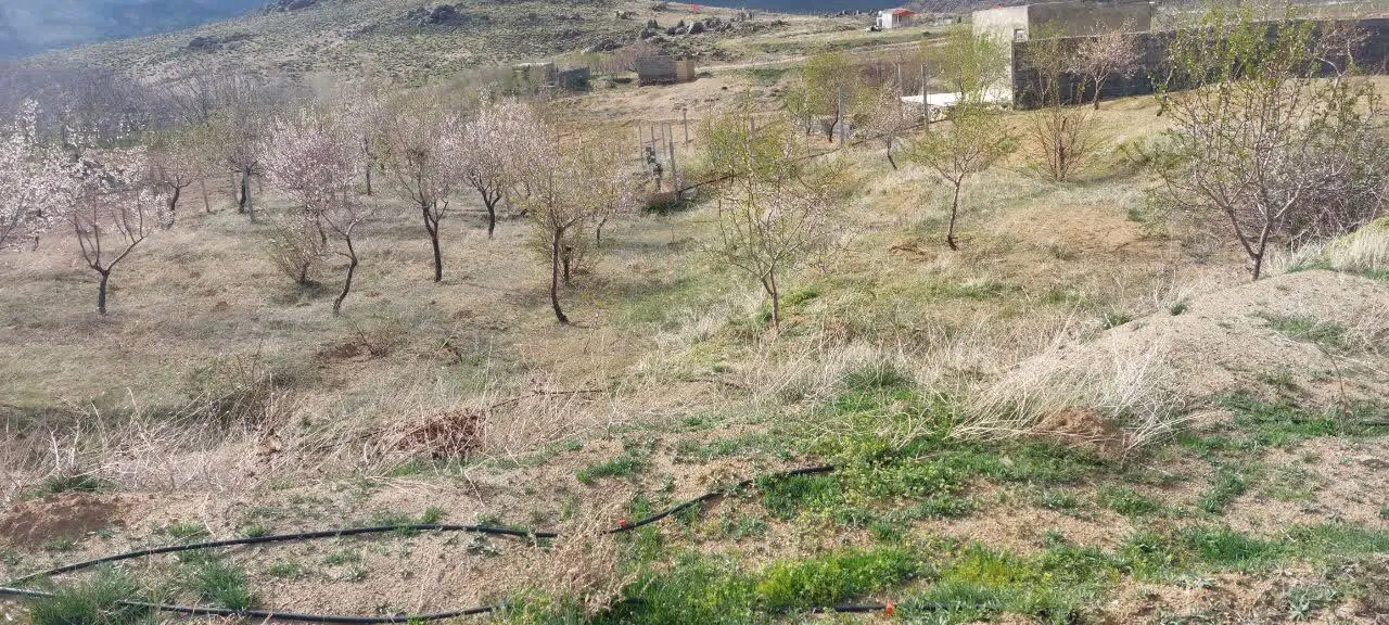 باغ واقع در نورآباد دره غول