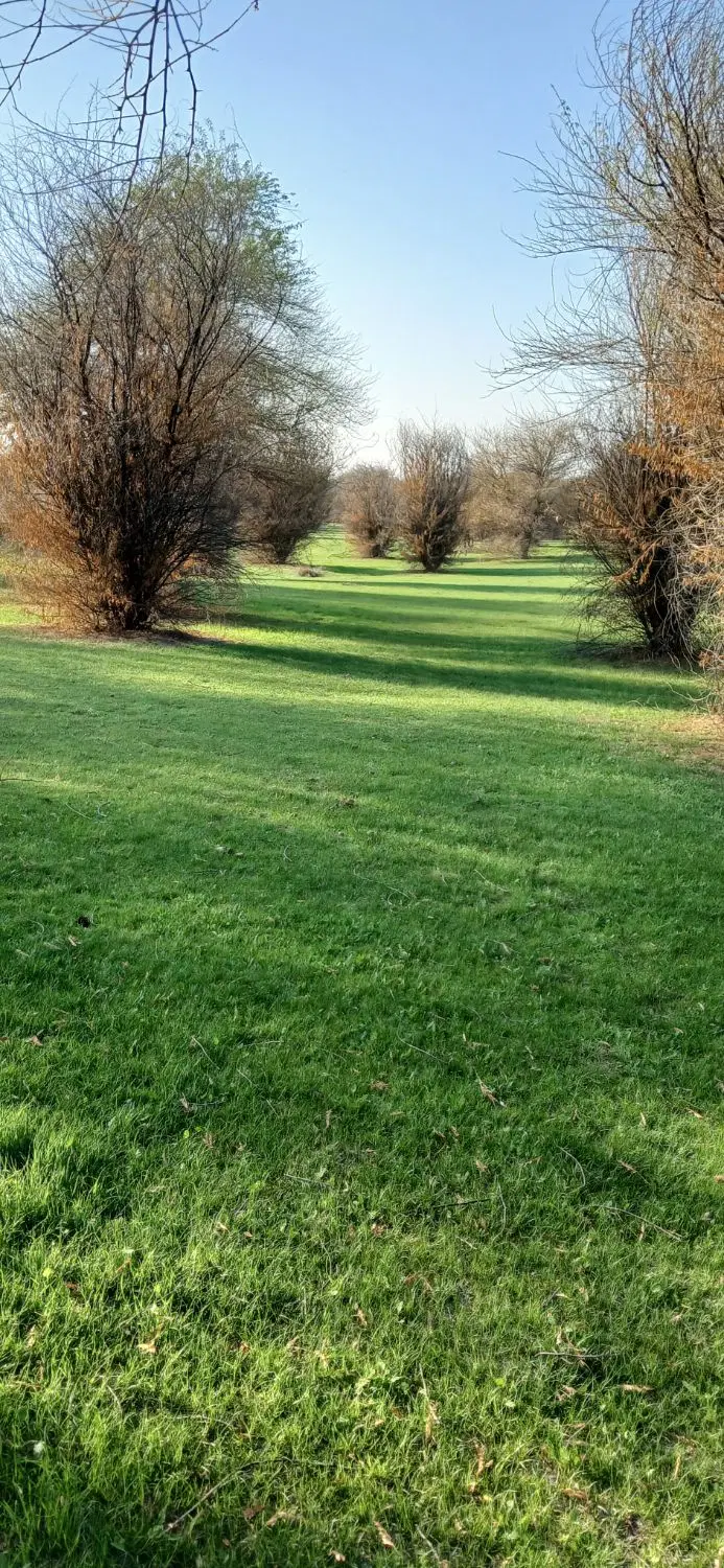 زمین کشاورزی