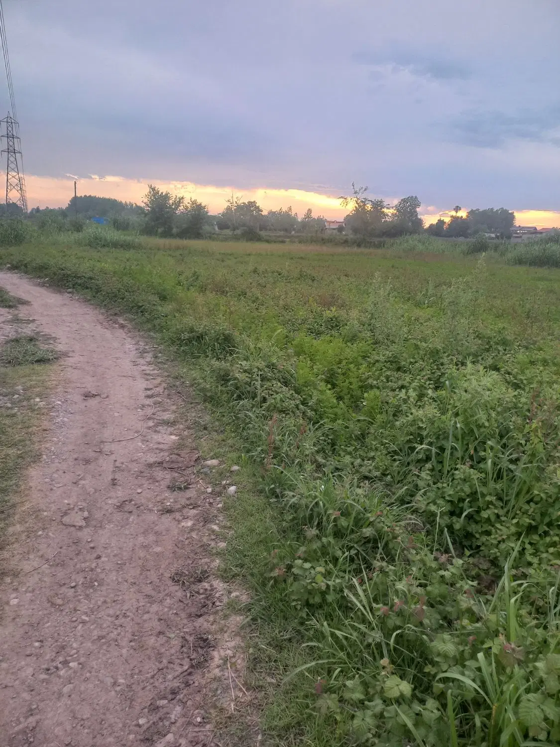 زمین باغی ۲۱۵ متری