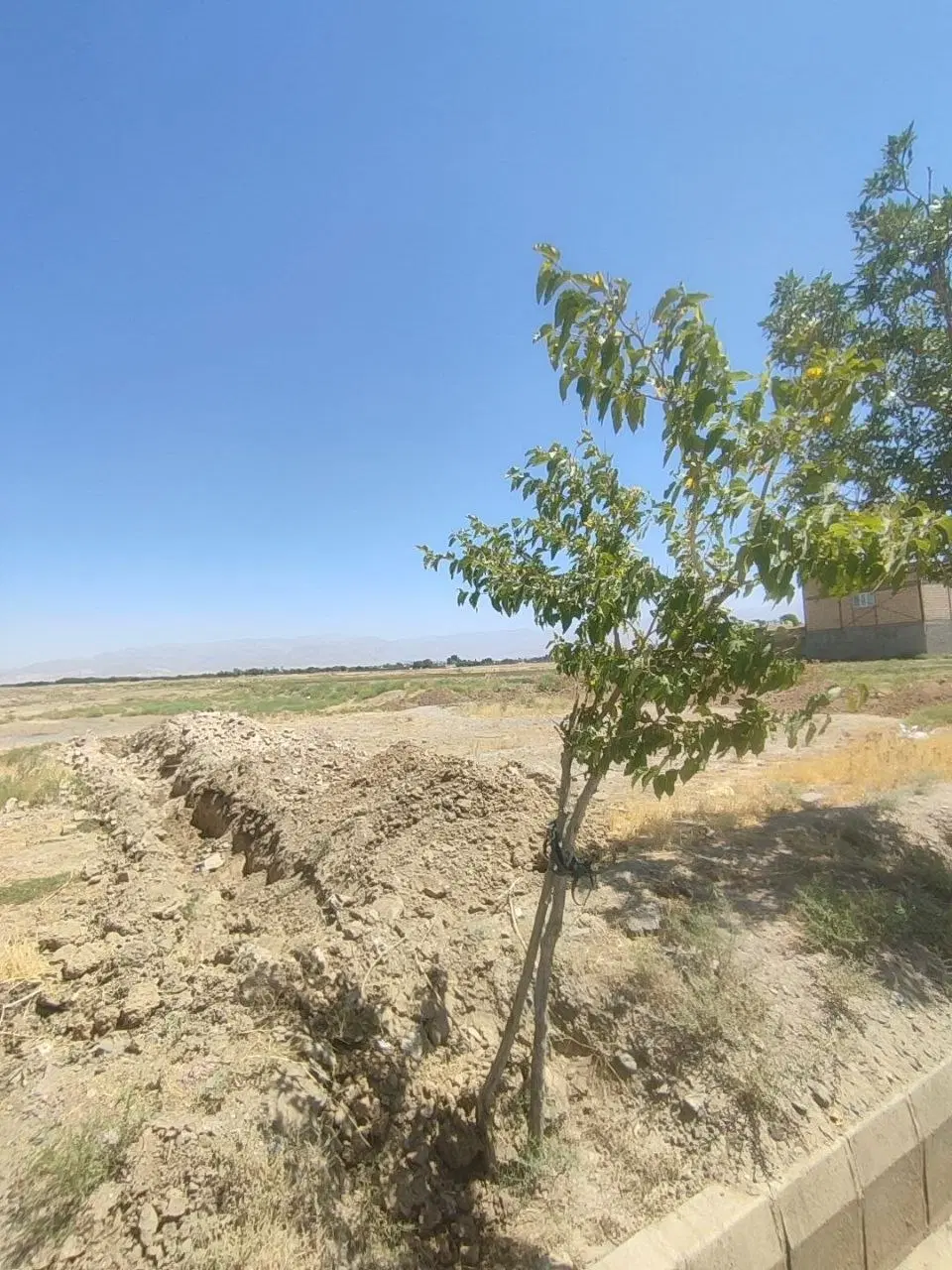 زمین به متراژ ۳۰۰ متر