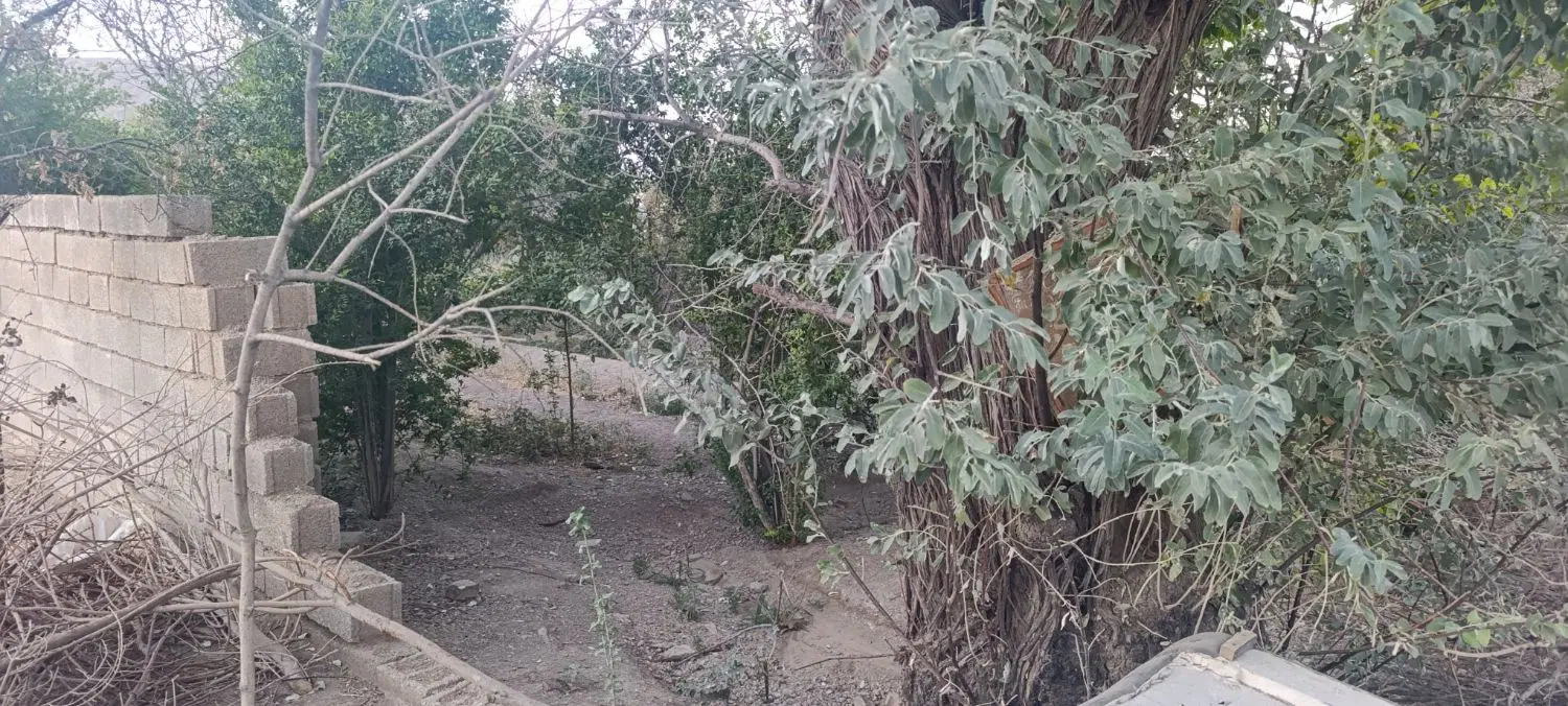 فروش باغ محدوده بلوار فجر