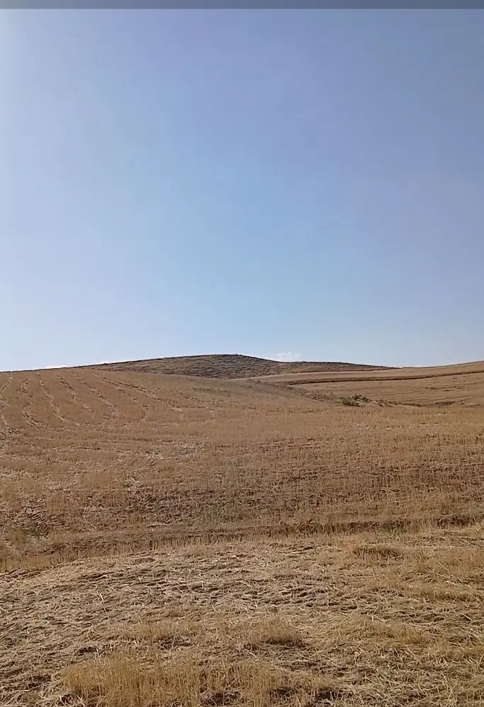 زمین کشاورزی بهرام گنبد