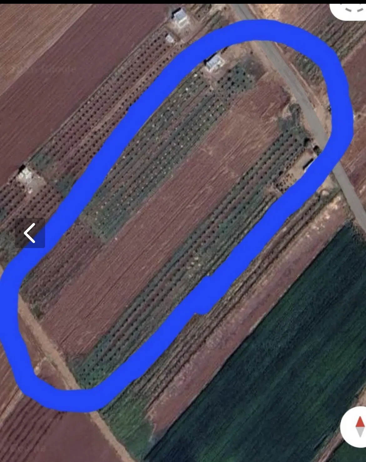 زمین کشاورزی 4 هزار متر