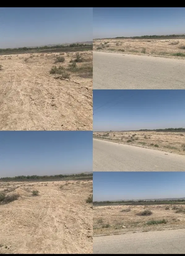 زمین صنعتی دامداری