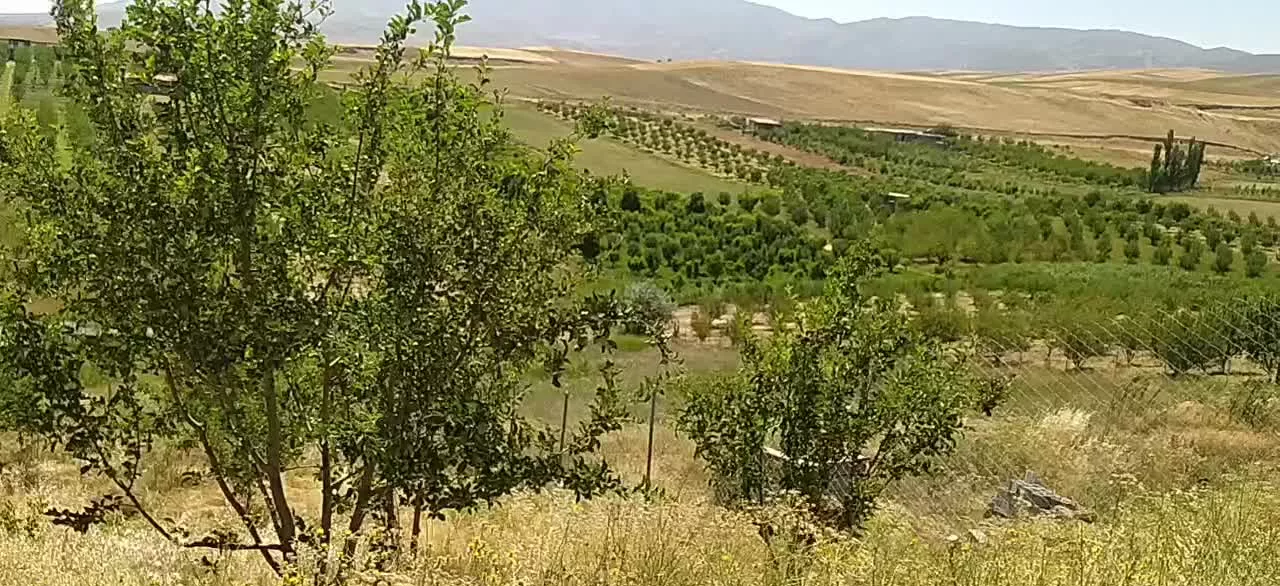 فروش باغ