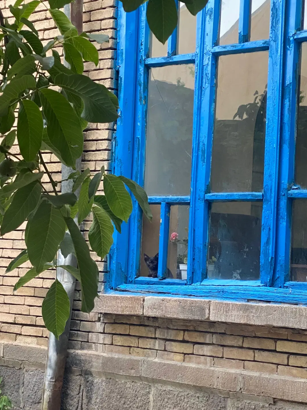 اجاره اتاق  جهت کارگاه اموزشی