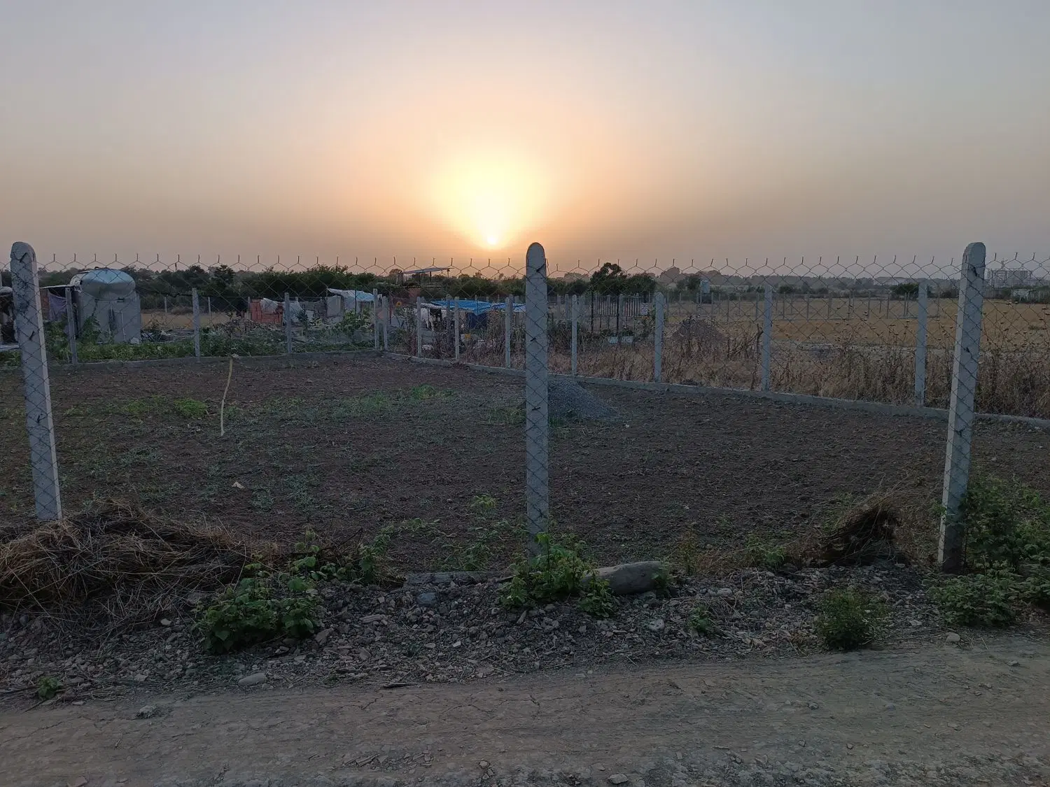 زمین باغی