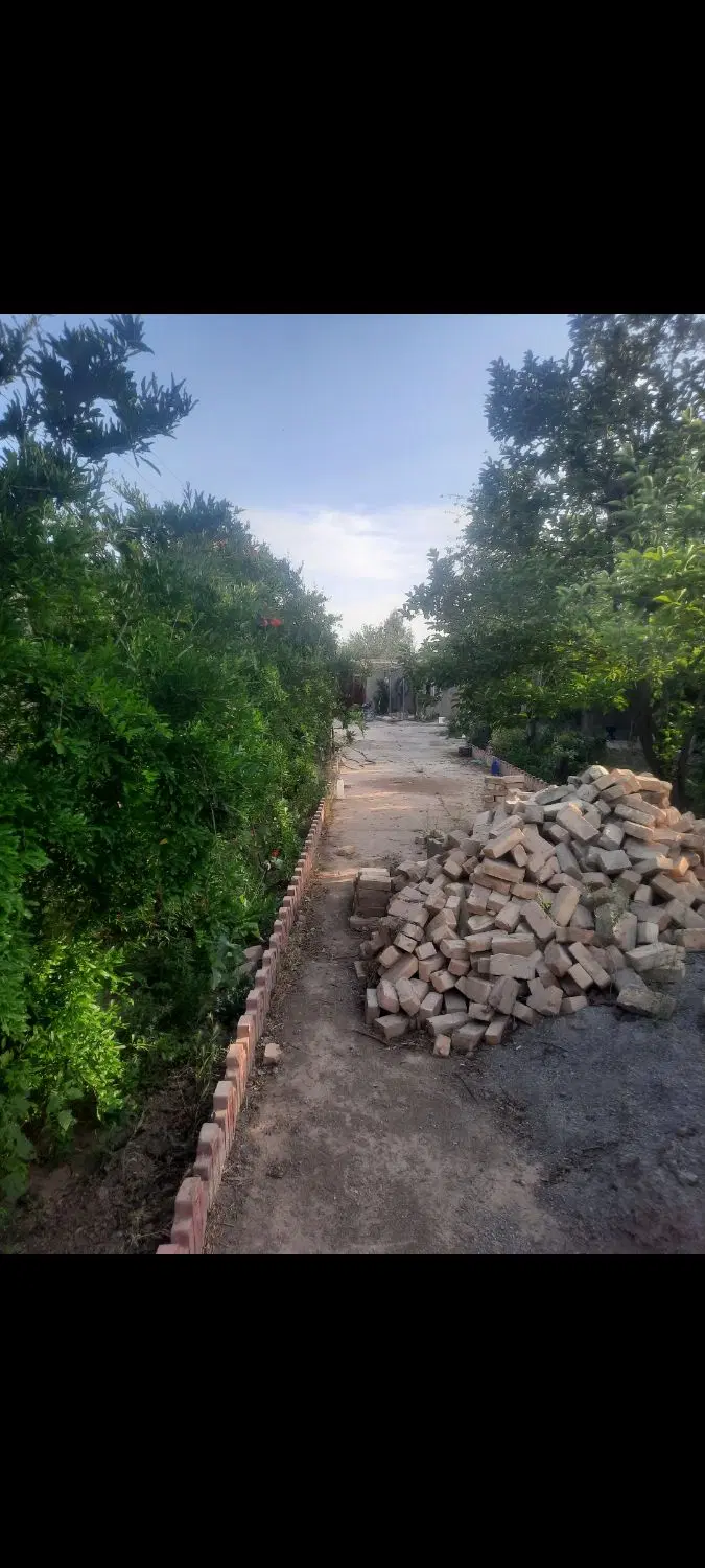 باغچه
