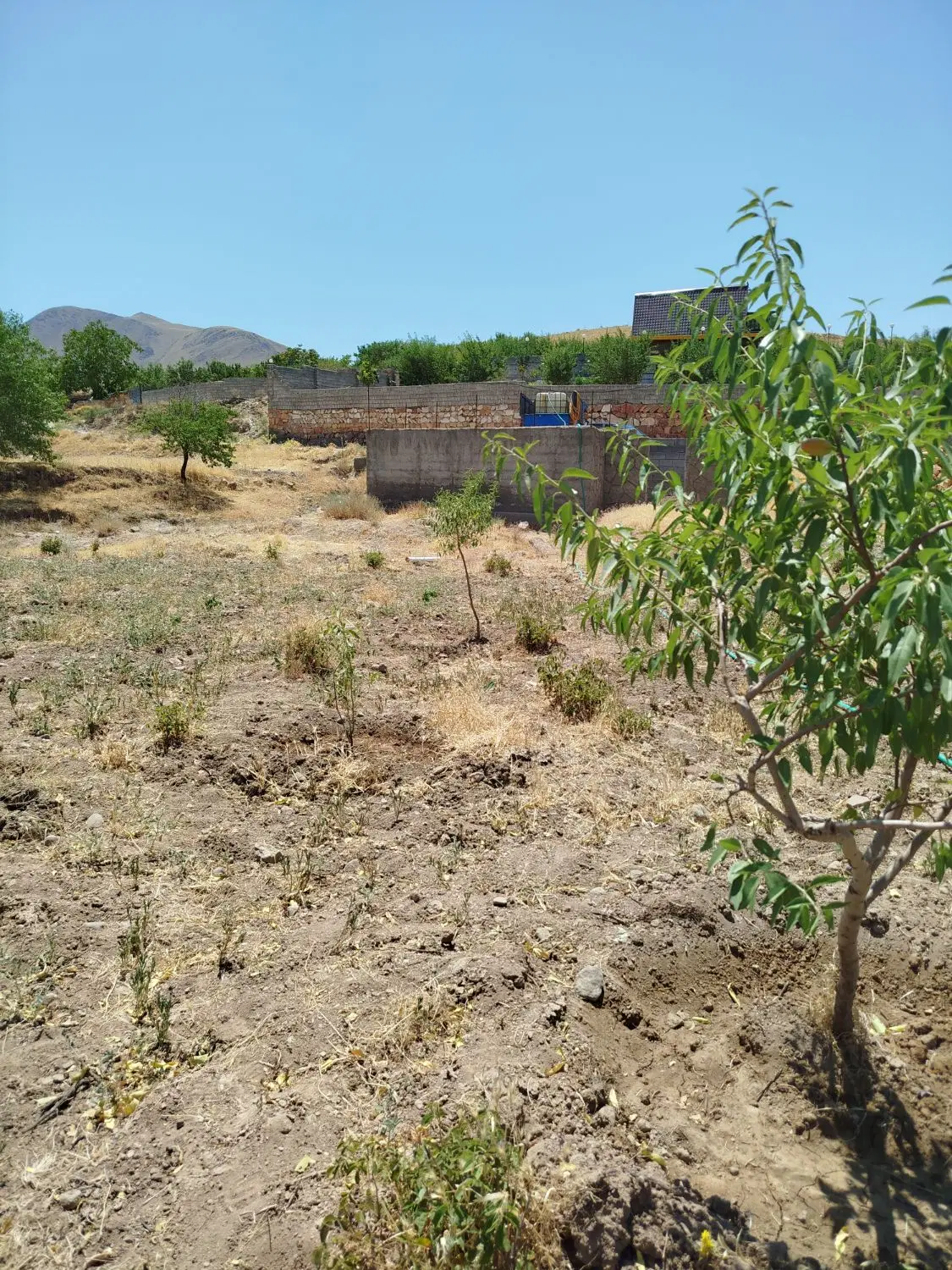 فروش باغ ۱۰من محلی آذرشهر روستای خراجو