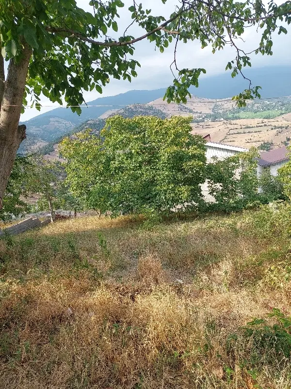 زمین مسکونی