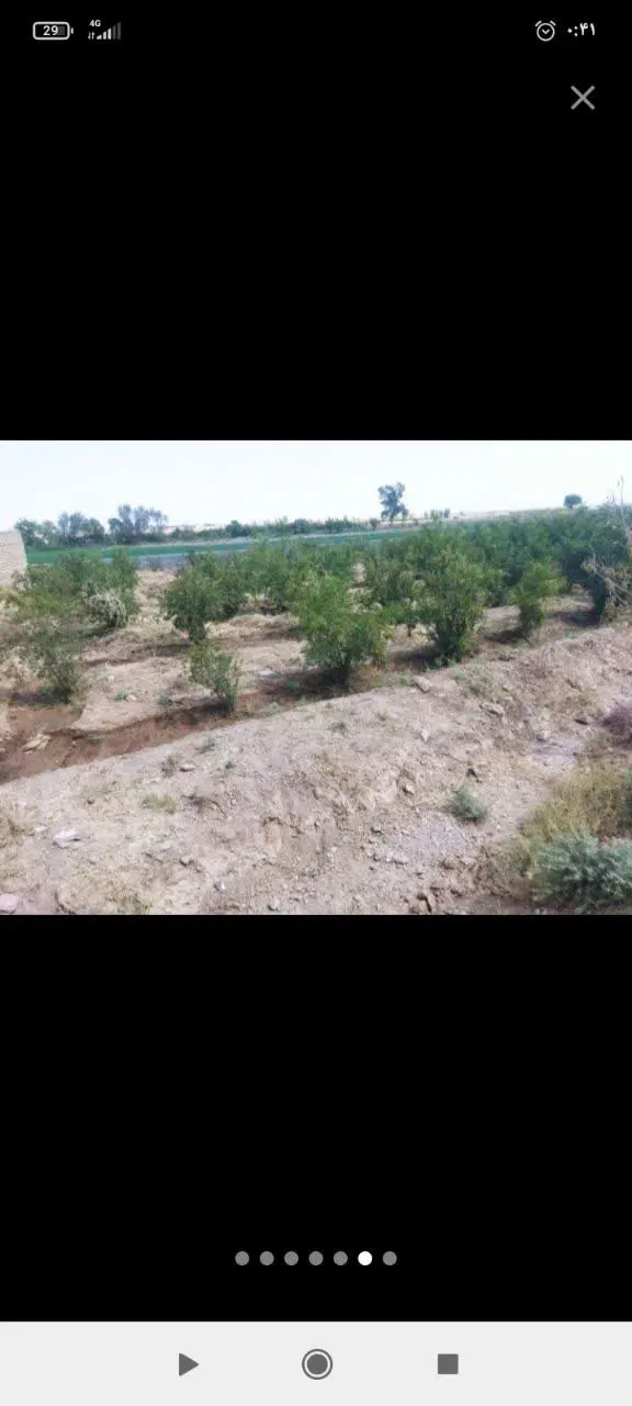 زمین در مراد اباد