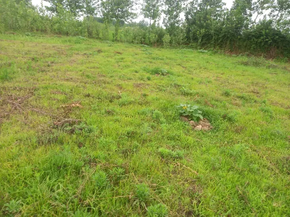 زمین فروشی اطراف شهررشت