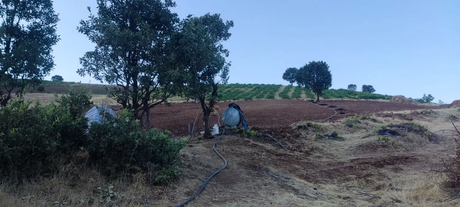 زمین کشاورزی