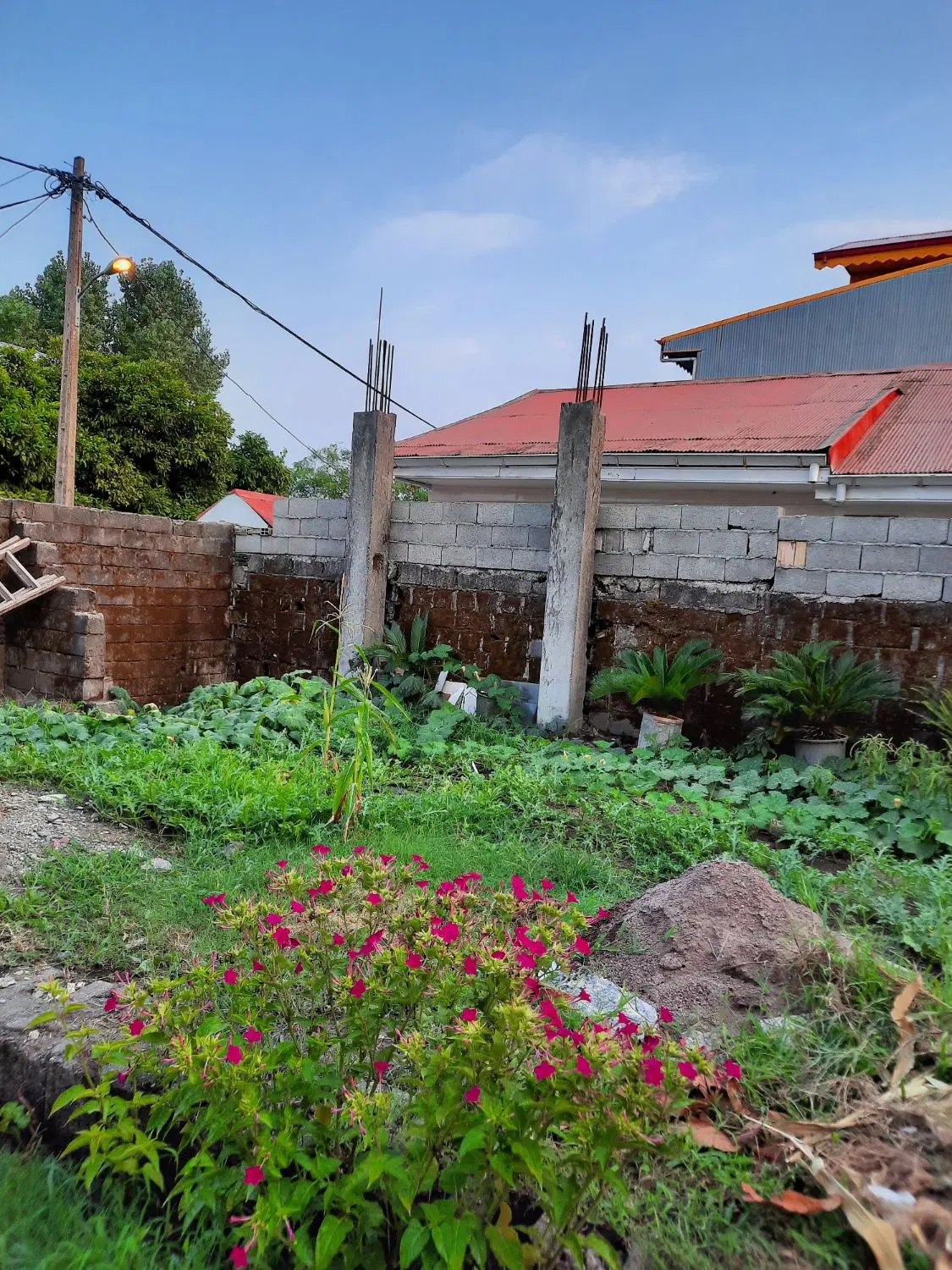 زمین ۷۰ متری بندر انزلی