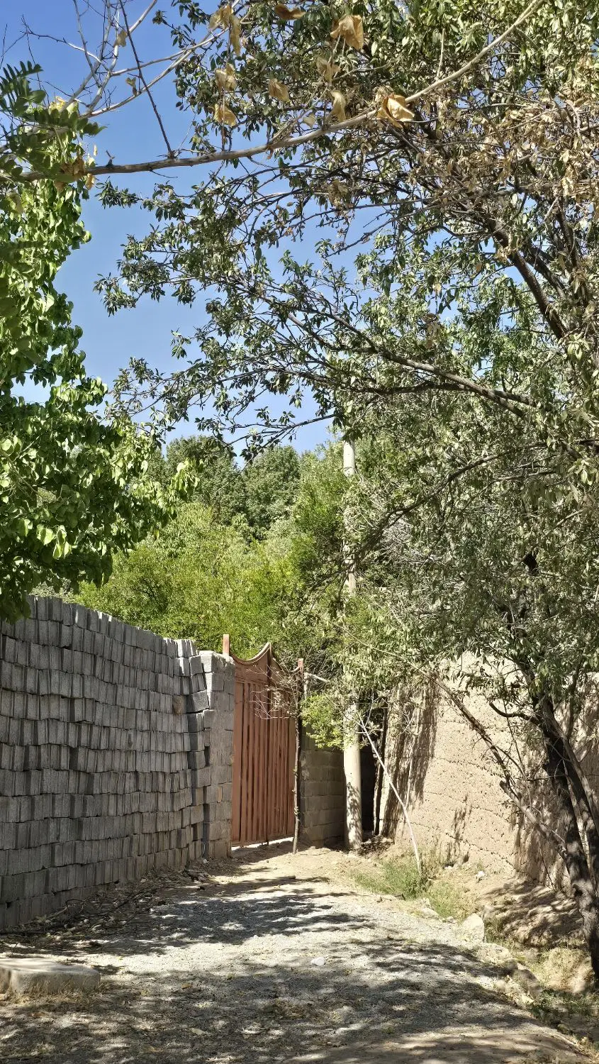 زمین مسکونی جوپار