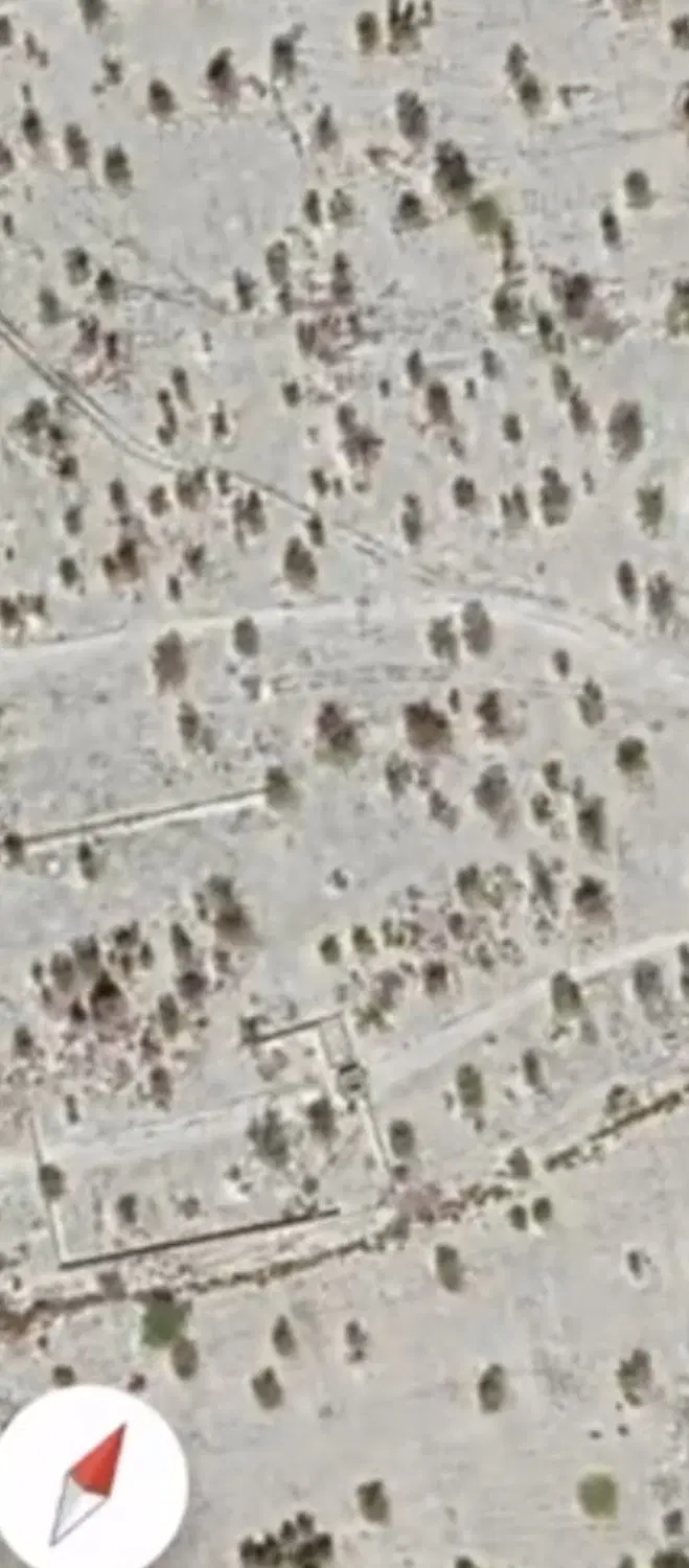 زمین باغی