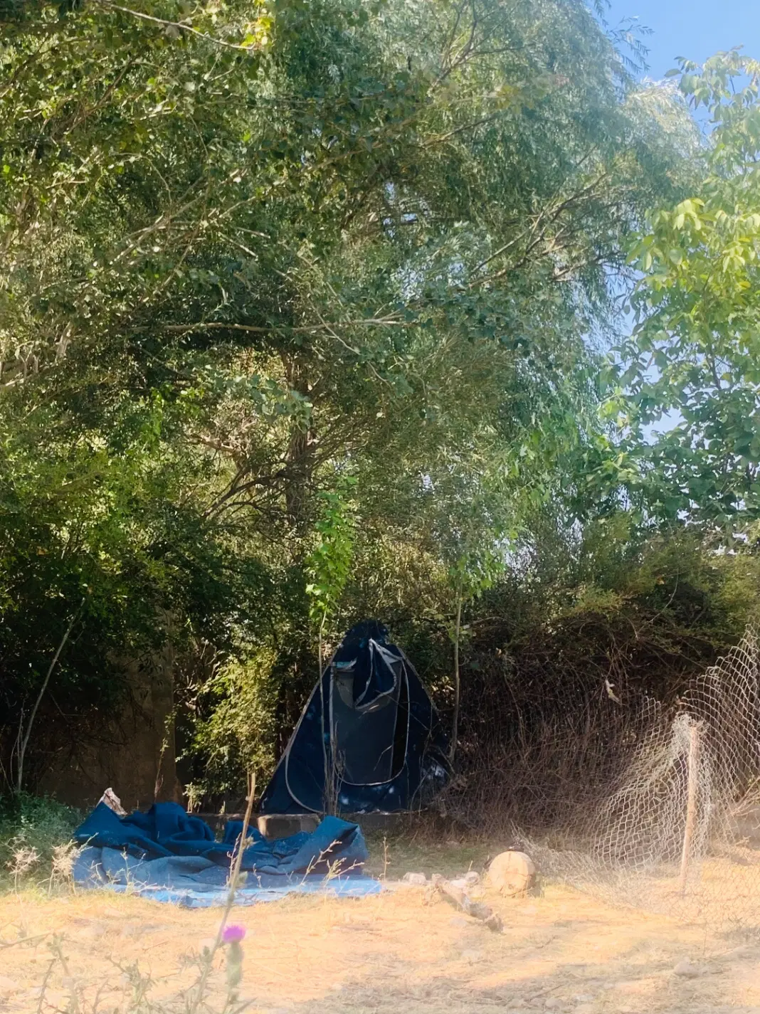 زمین‌گشاورزی بالای فیال