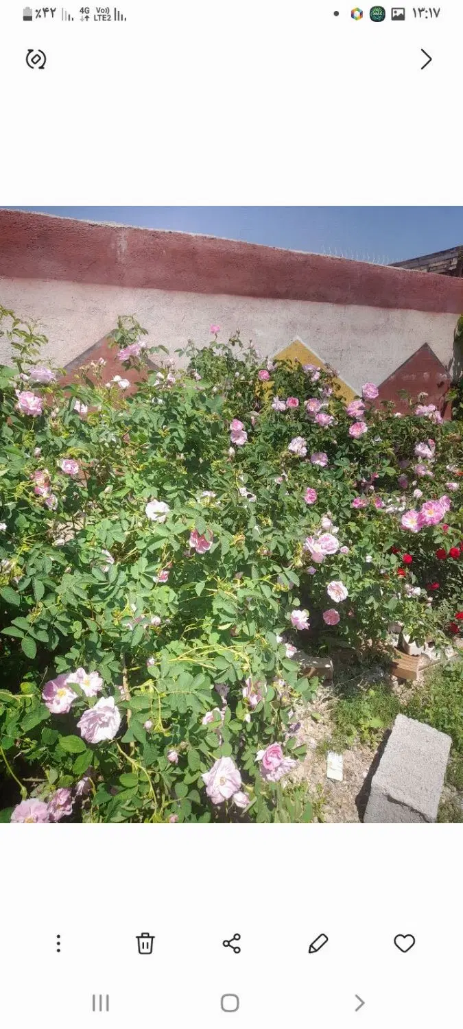 باغ ۵۰۰متری دور دیوار