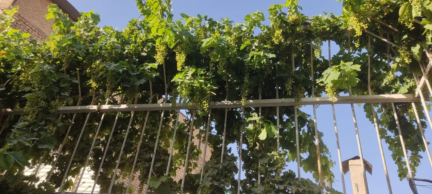 منزل ویلایی