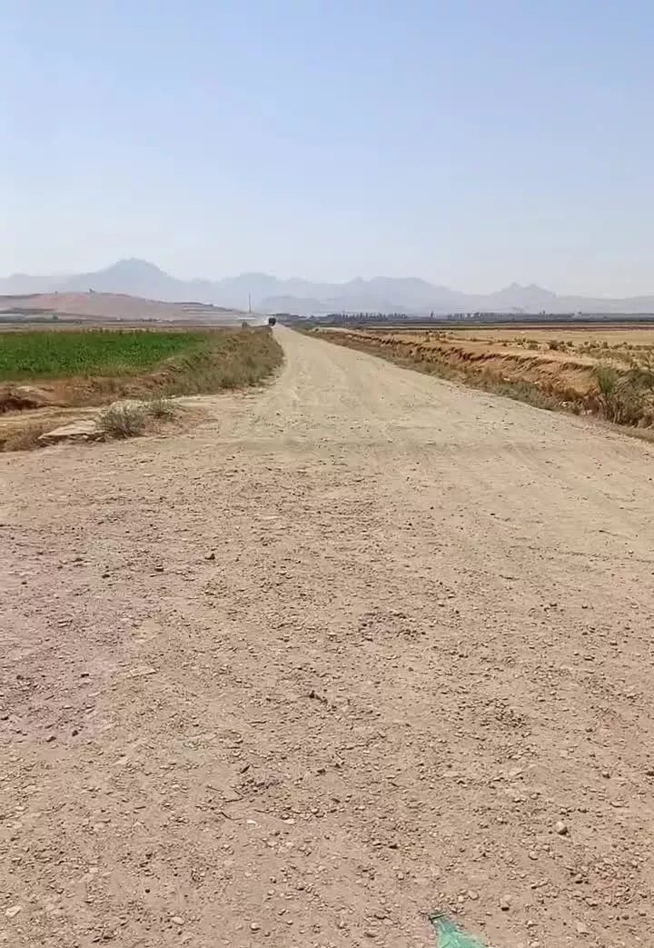 دامداری یا گاوداری
