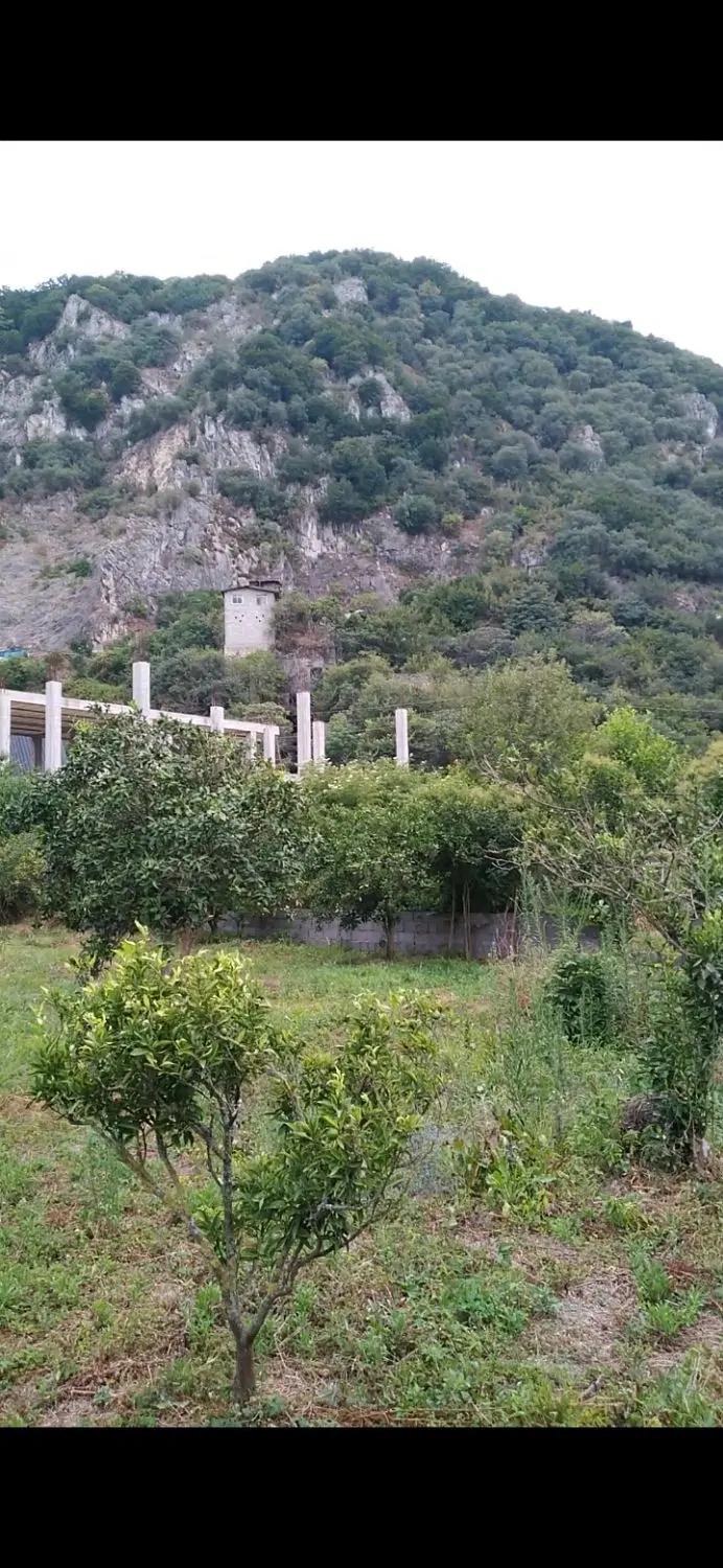 زمین