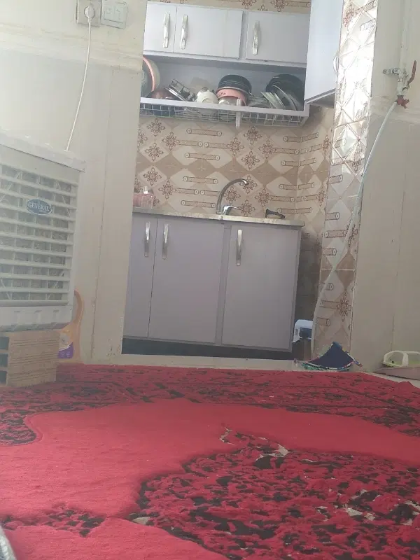 همخونه خانم
