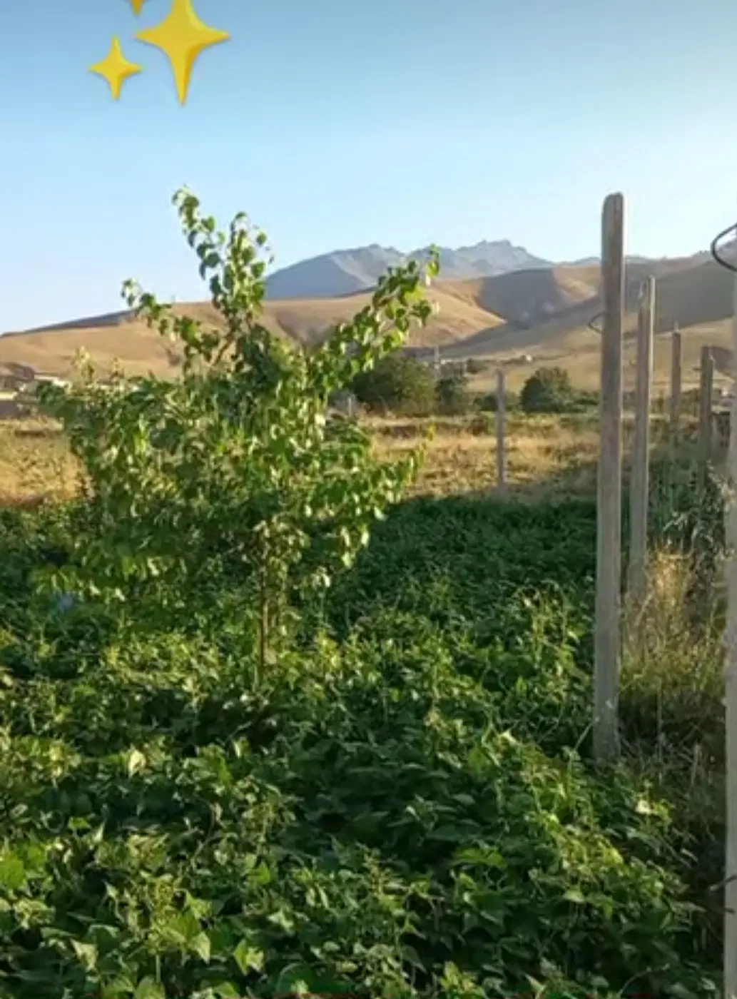 فروش زمین باغی دارای درخت  ۷۰۰ متر مریانج