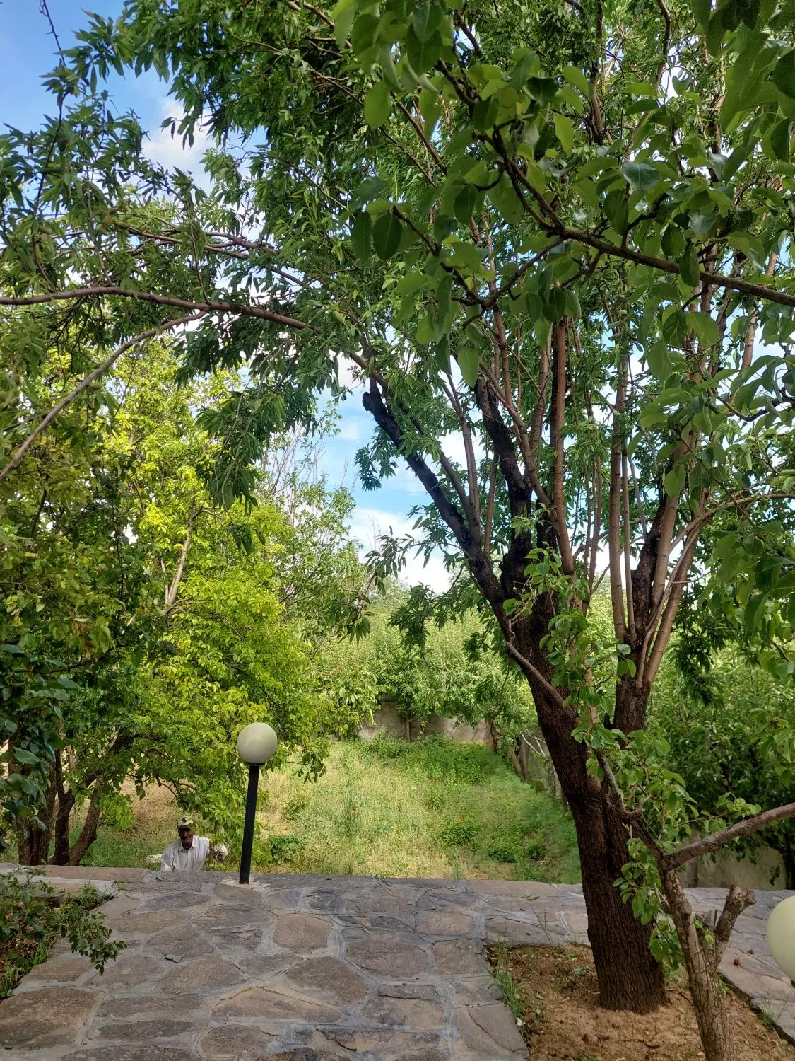 خریدویلا باغ حیدره باصفری