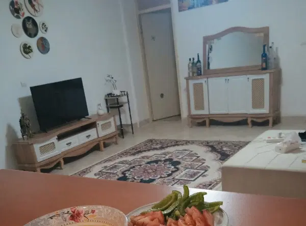 همخونه خانم