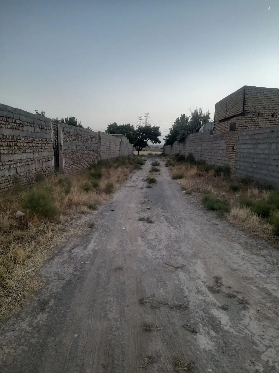 زمین