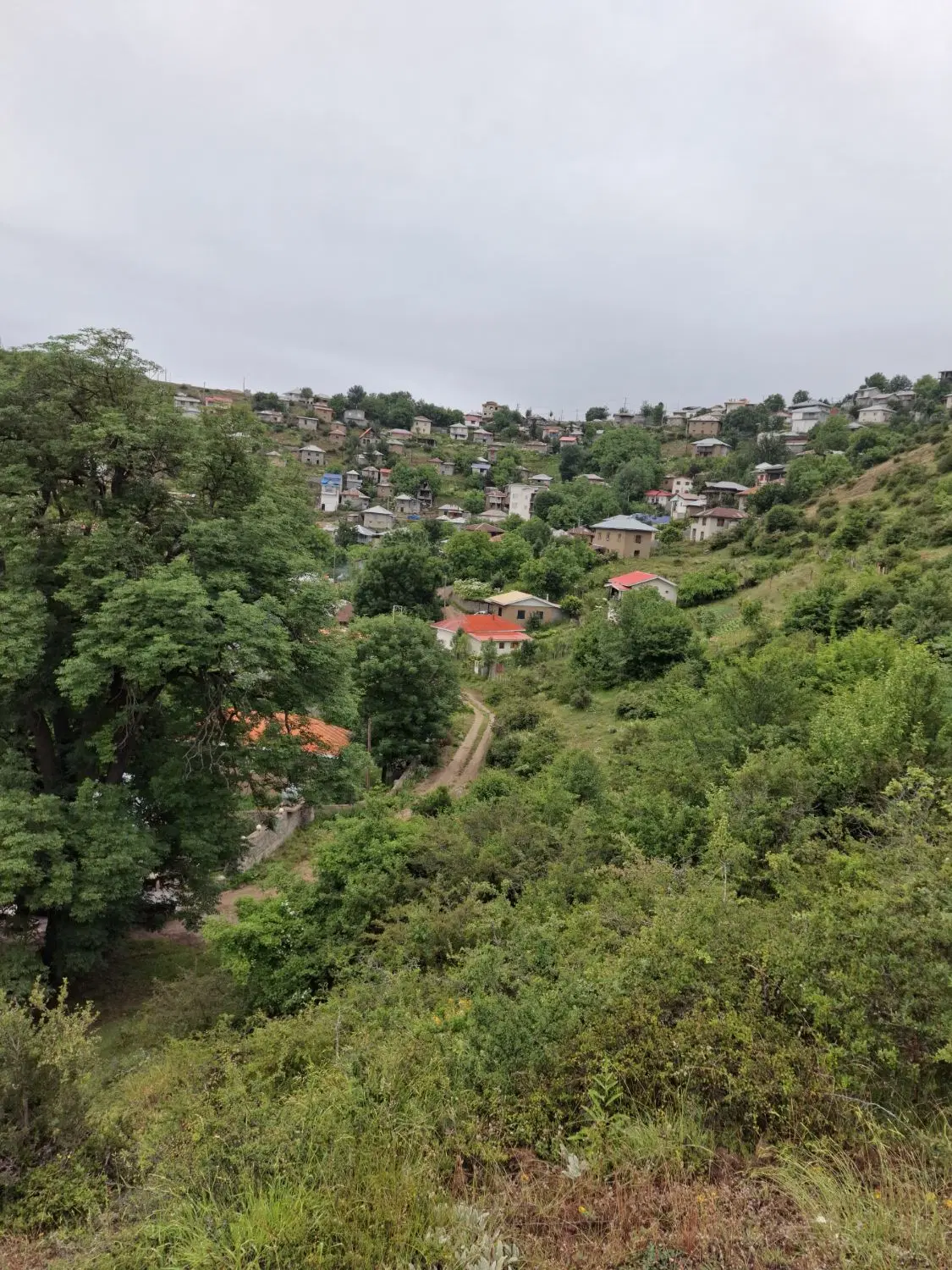 اجاره سالانه و ماهانه ی ویلای ییلاقی رامسر