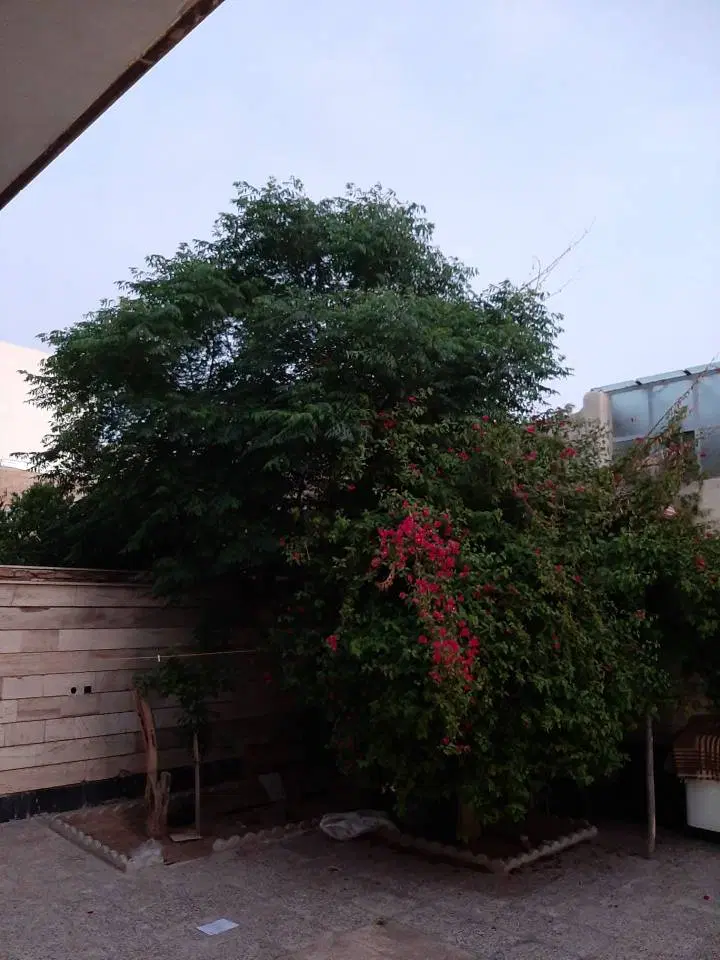 فروش خانه ویلایی 200 متری خیابان علمدار