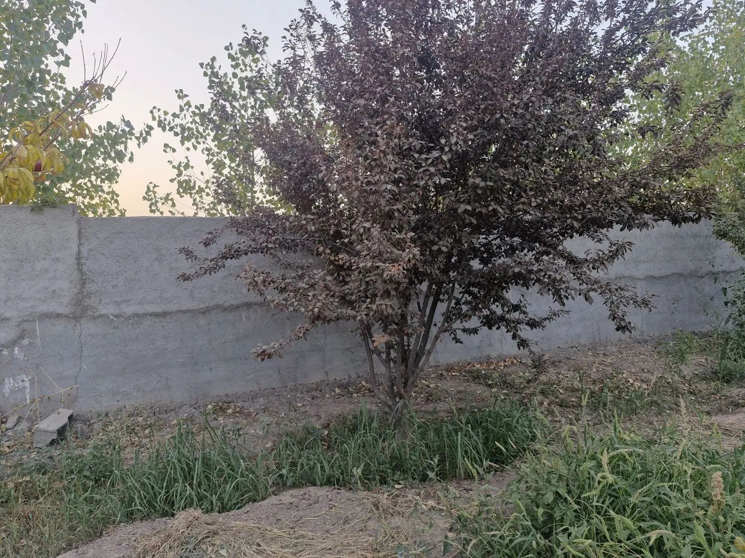 فروش  باغچه در شهر ری جاده ده خیر