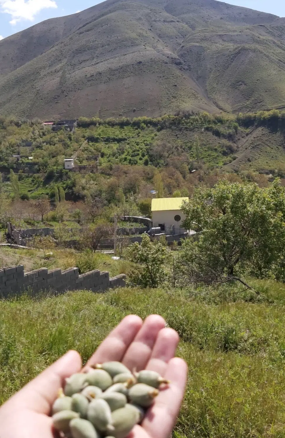 زمین در برگ جهان لواسانات