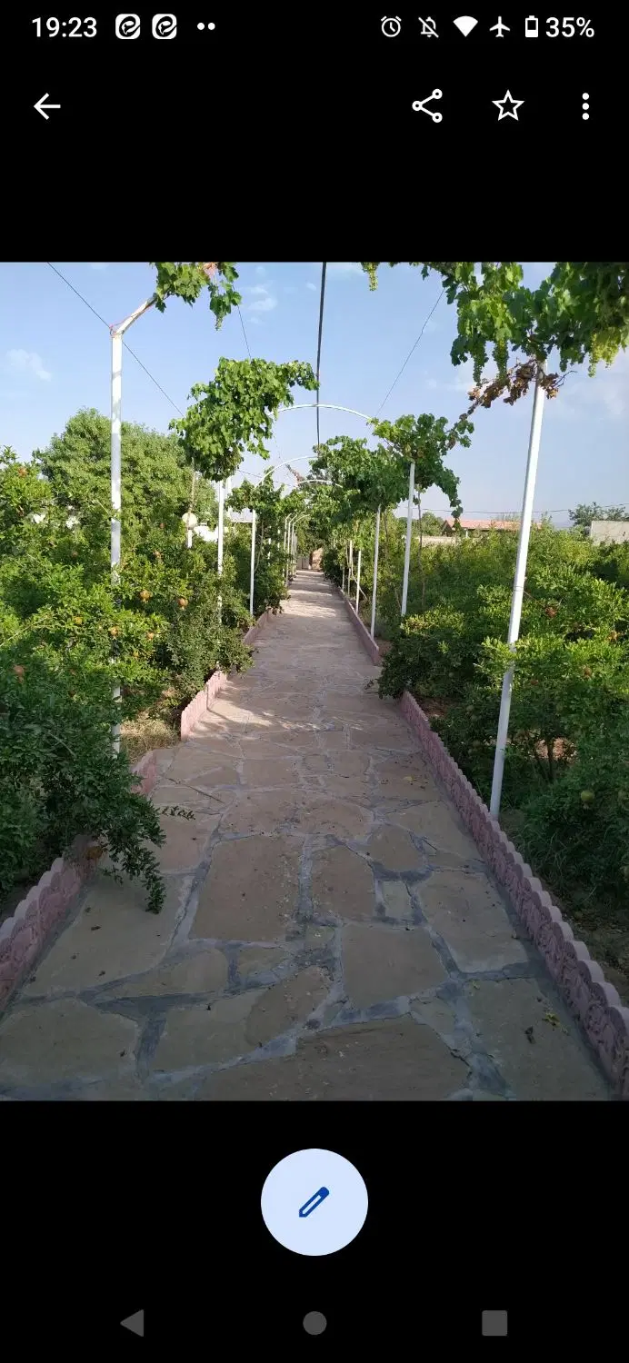 باغ انار جاده نورعلی بیک ساوه
