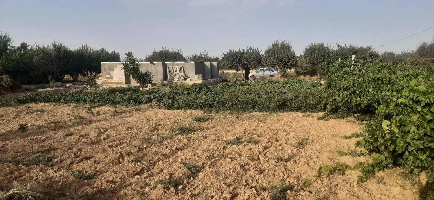 باغ میوه