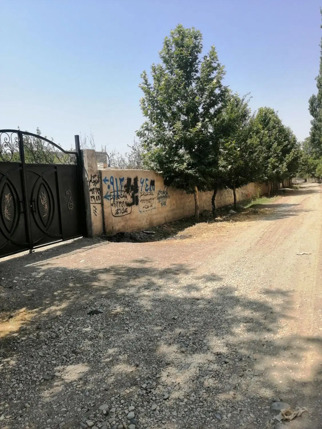 قطعه زمین فروشی مساحت 250 متر سعیدآباد