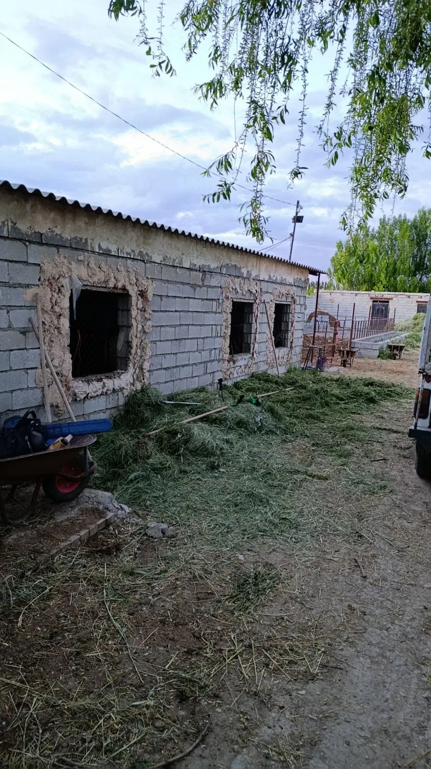 دامداری ،باغ، باغچه نیم طناب