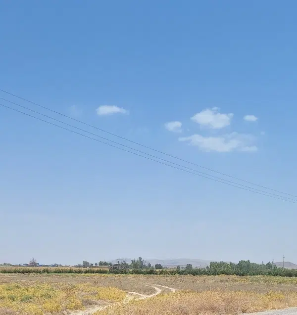 دو هزار متر زمین محدوده شهر.. فسا