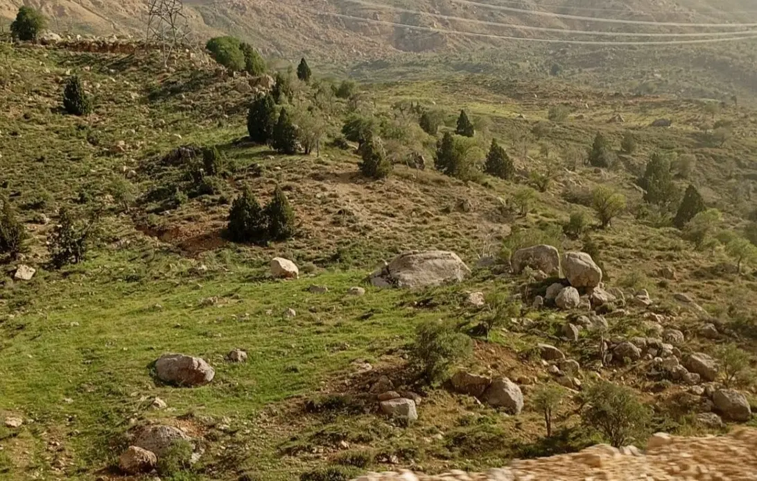 فروش زمین روستای دلی اولاد علی مومن