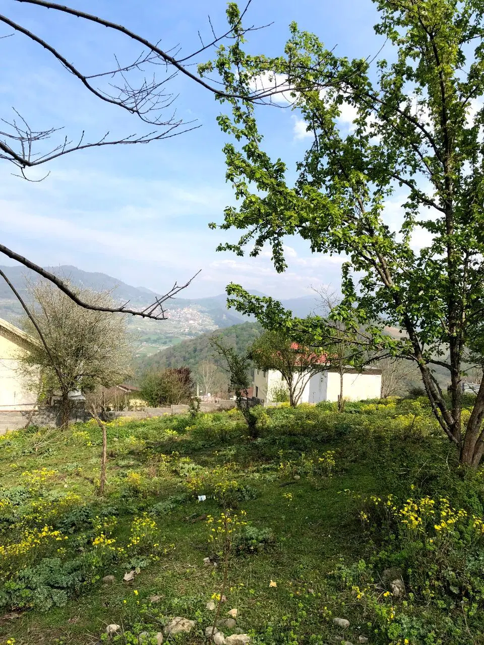 زمین 470 متری کاربری مسکونی