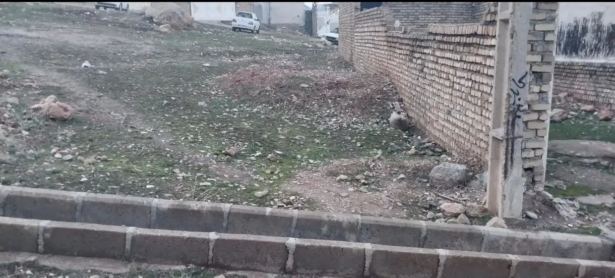۸۵مترزمین پاپی خالدار سفلی