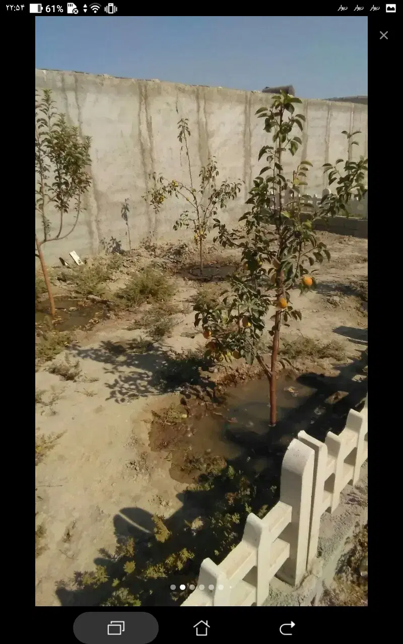 باغچه ۴۵۰ متری در رباط کریم ، علی اباد