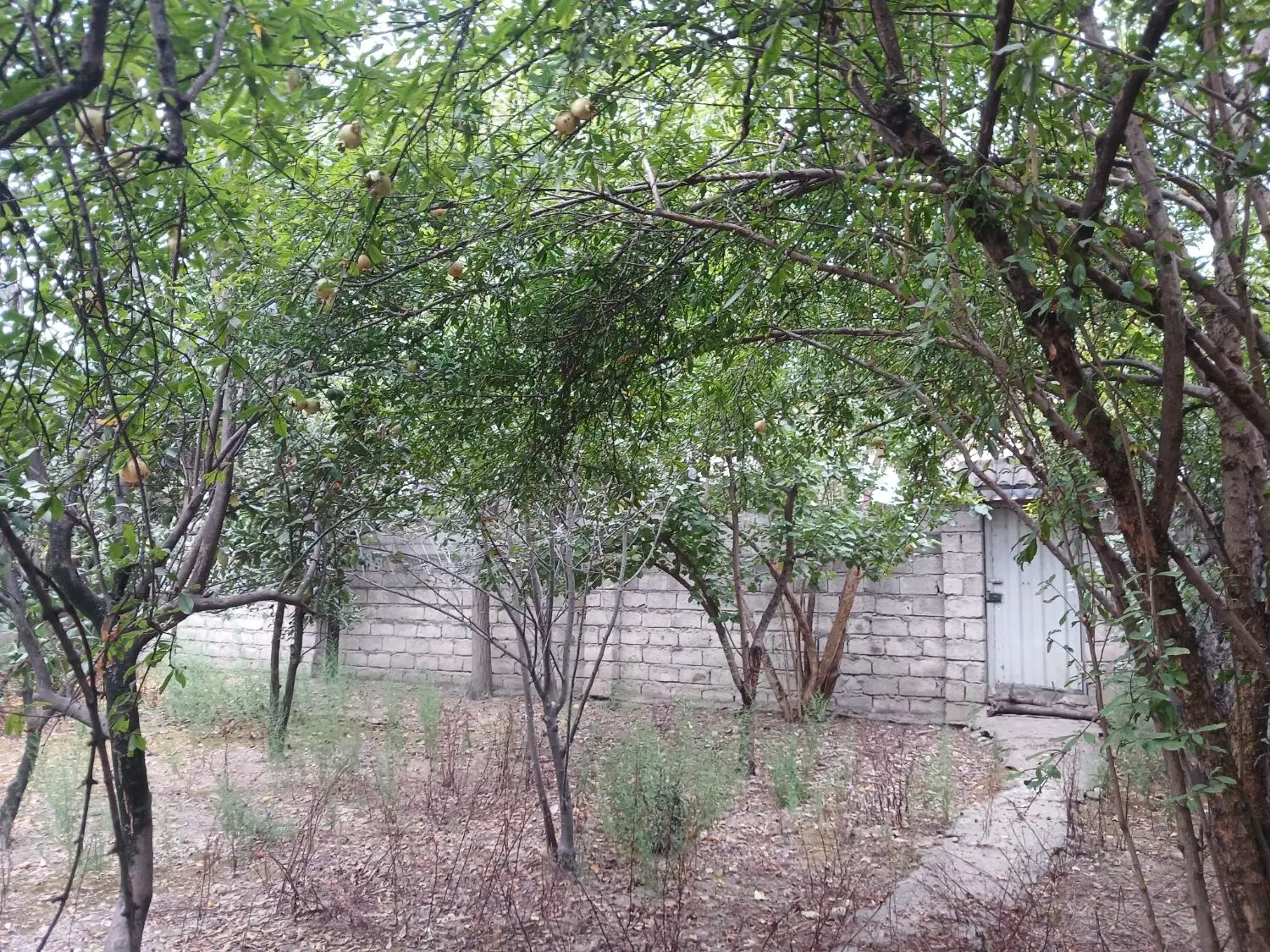 زمین فروشی