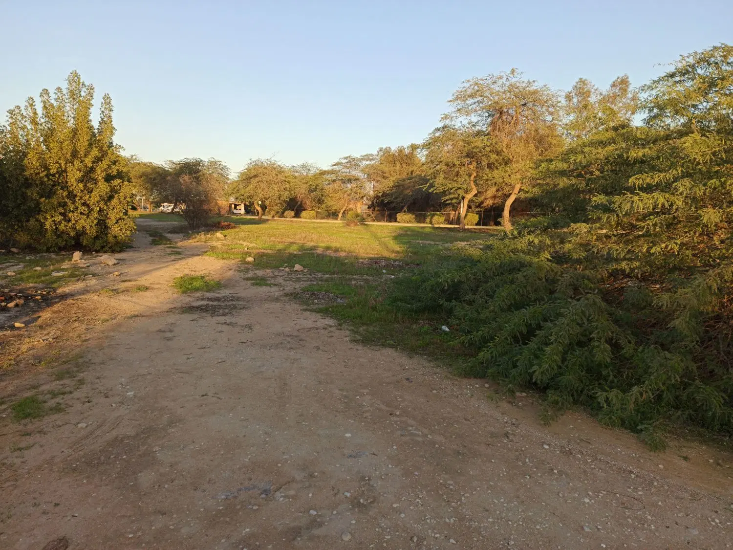 زمین مسکونی امامزاده