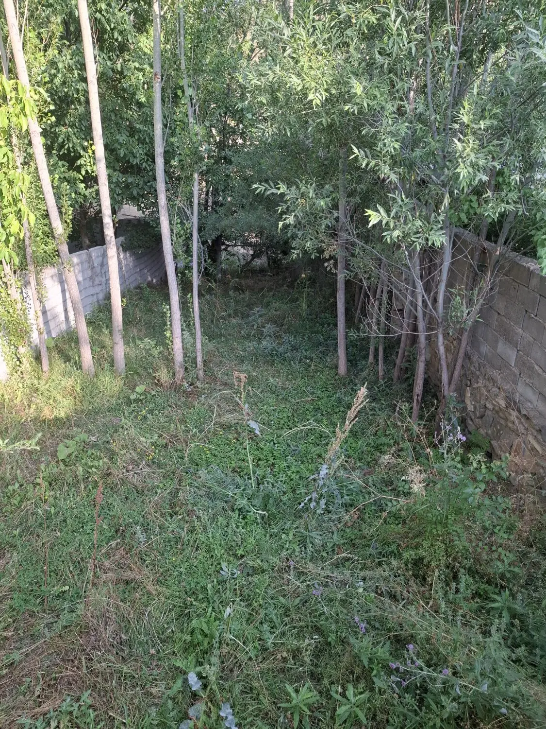 زمین ویلایی اسپیران گلوجه