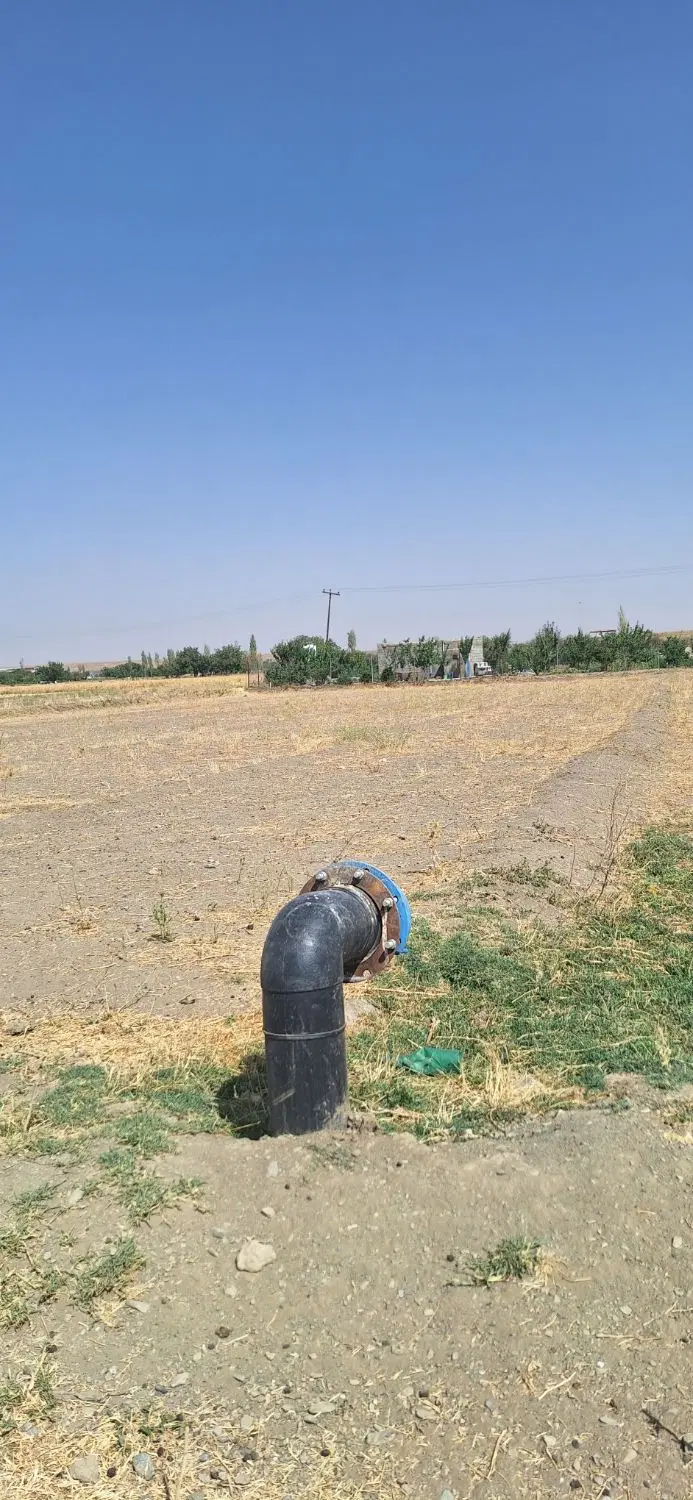 فروش زمین ریحان علیا