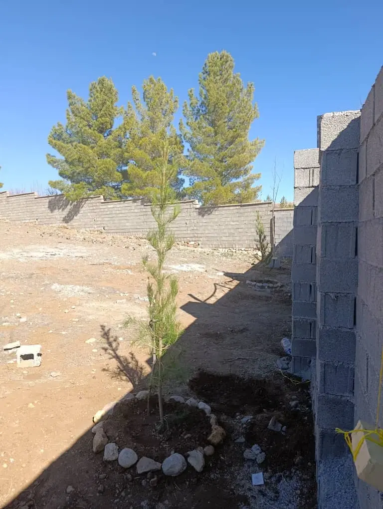 باغ شهری هزارمتری شیراز