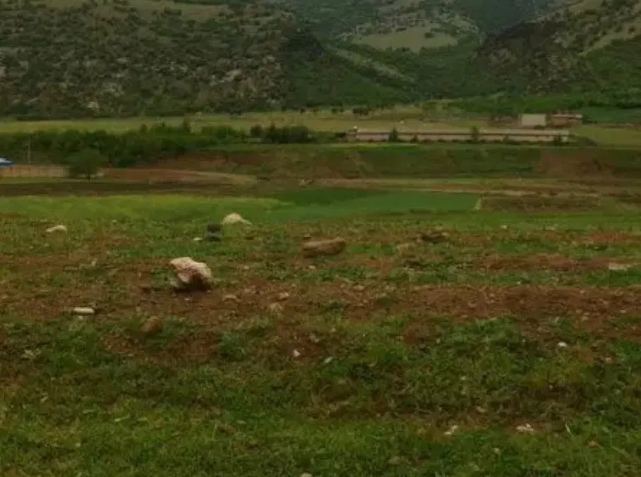 زمین باغدایی