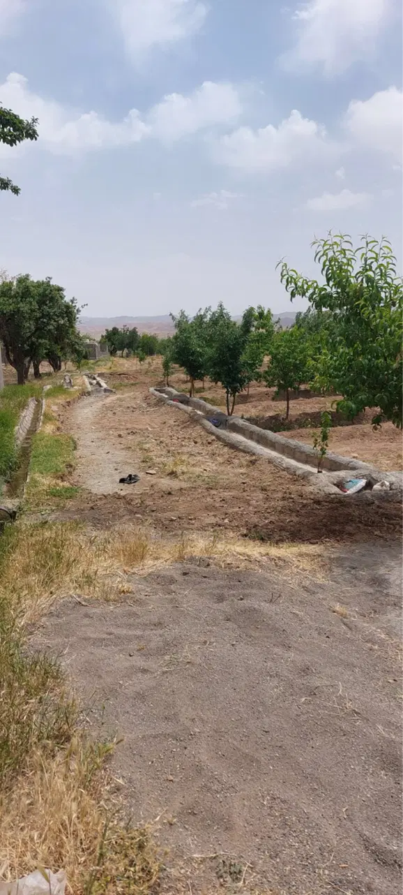 باغ دارای ۲۳۰عدد درخت میوه شهرک جدید بینالود